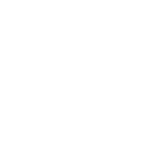 logo-viva-blanc